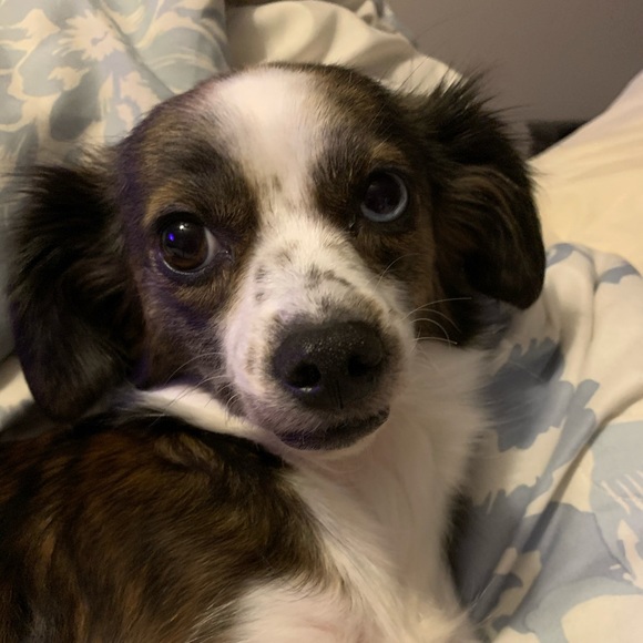 Meet your Posher, Adriane - Picture 1 of 1